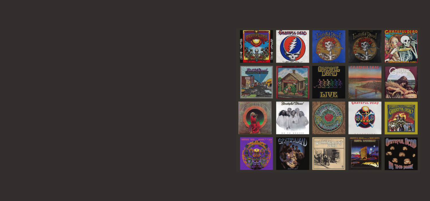 Stephen Wilson Studio