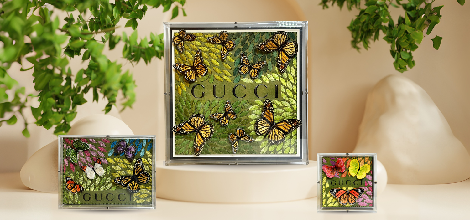 Stephen Wilson Studio