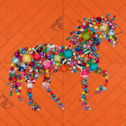 POM-POM - Stephen Wilson Studio