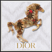 Dior White / Neutral