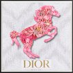 Dior White / Pink