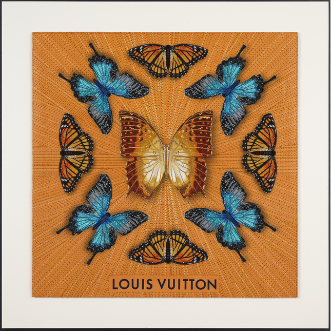 Luxury Butterfly Mandala 3- 26”X26”