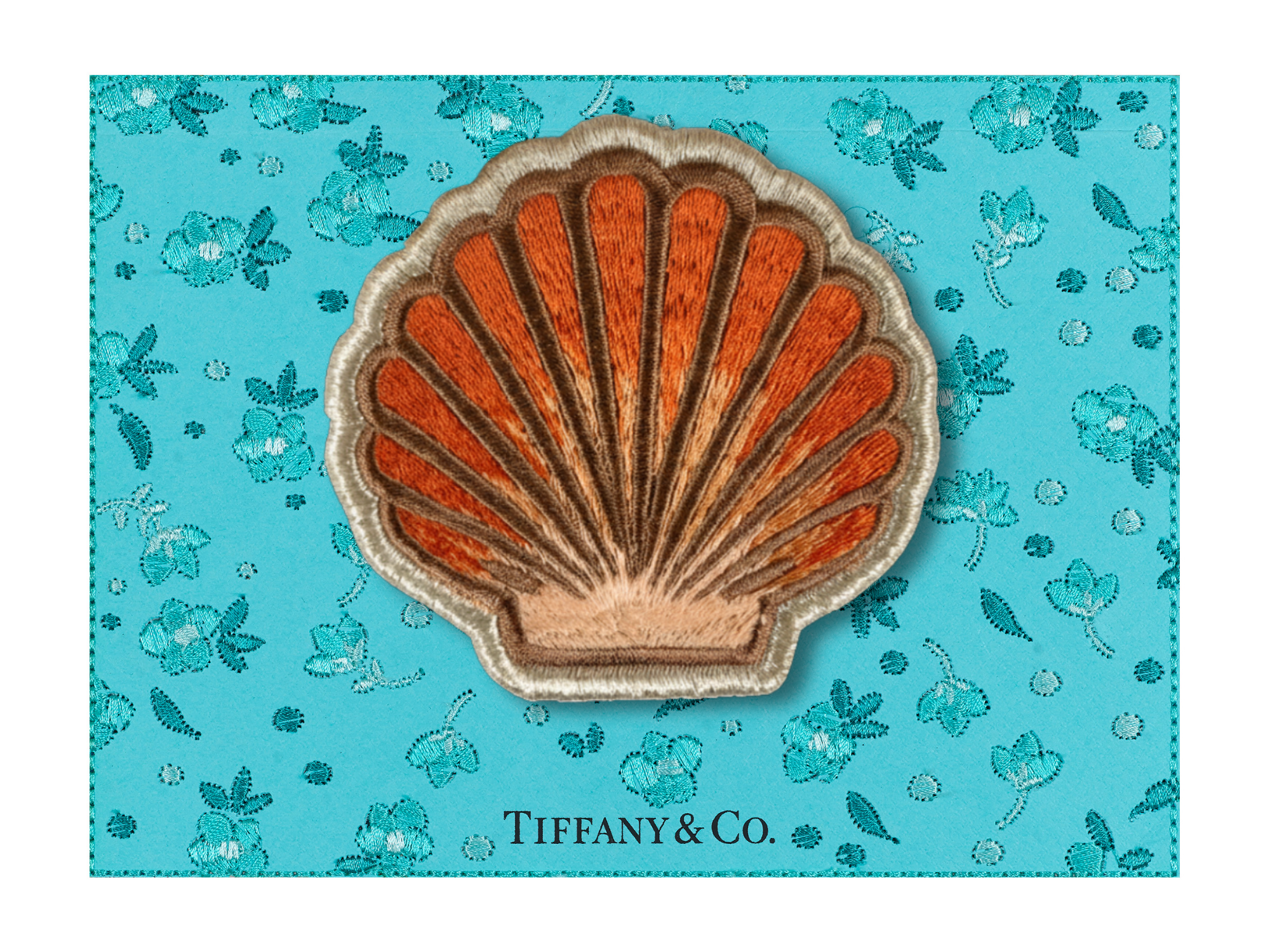 Shell 8"x6"
