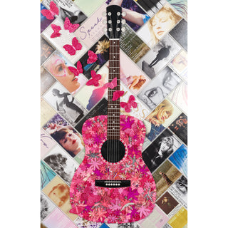 Taylor Swift Album Grouping with Gypsy Guitar