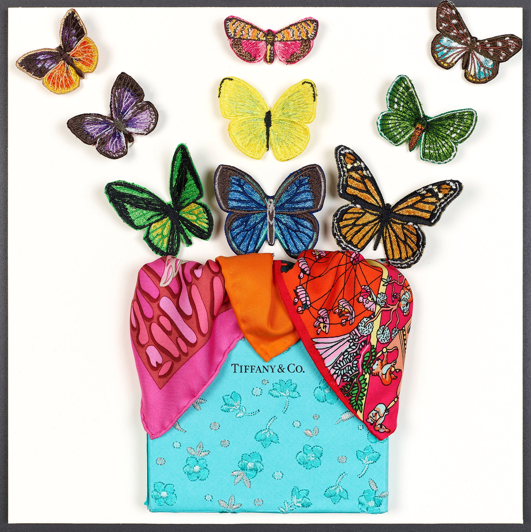 Custom Butterfly Surprise 12"x12"