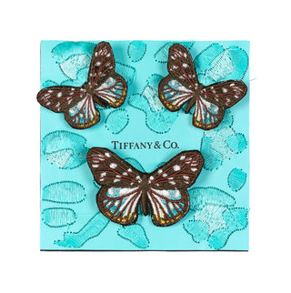 Petite Spotted Flutter 5"x5"