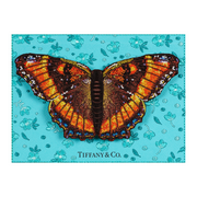 Framed Milbert's Tortoiseshell Butterfly 8”x6”