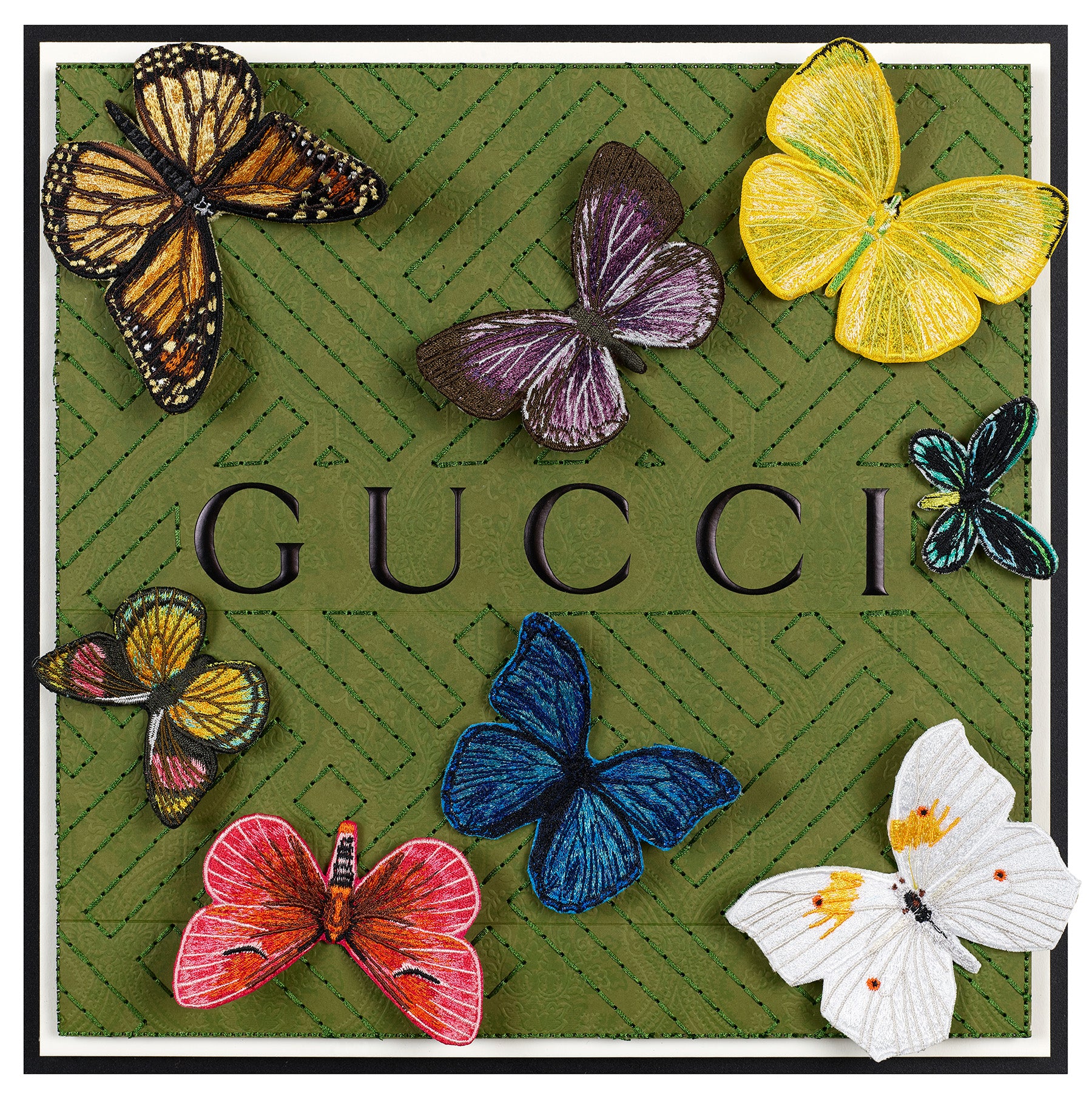 Butterfly Swarm 12"x12"