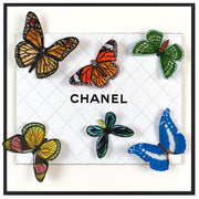 Butterfly Swarm 12"x12"