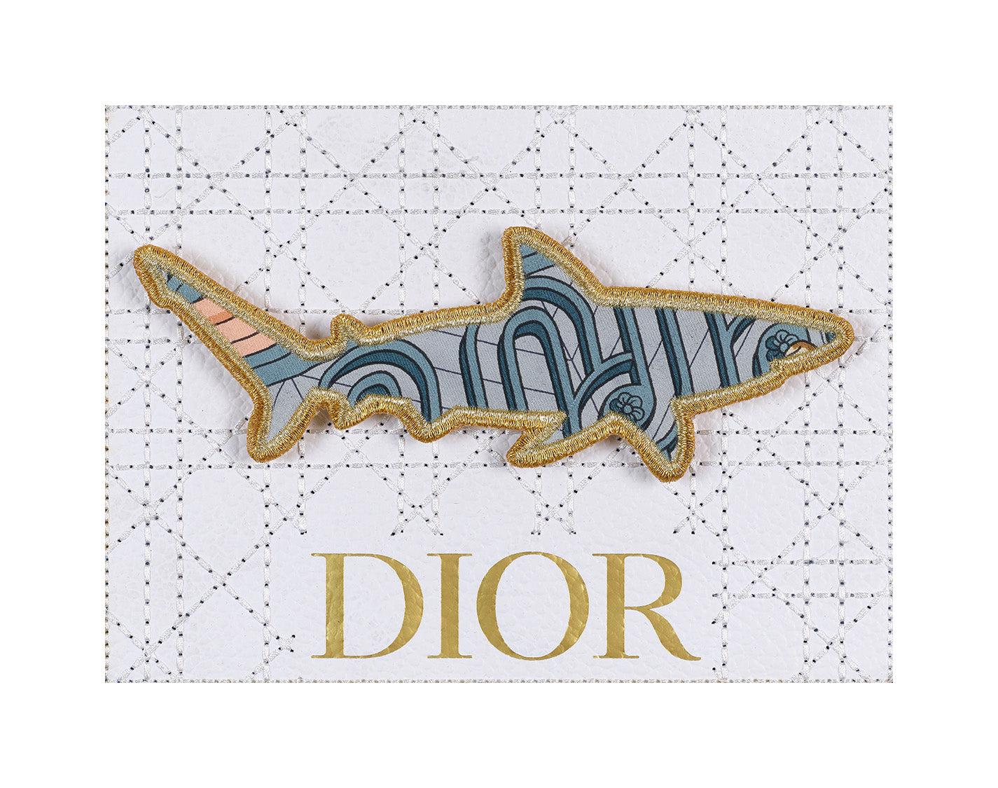 Painted Shark 8”x6”