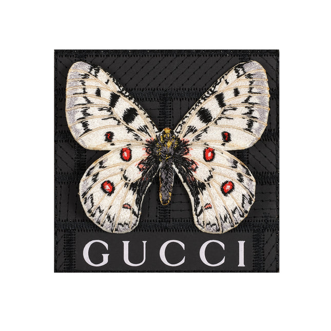 Petite Apollo Butterfly 5"x5"