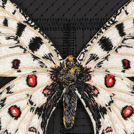 Petite Apollo Butterfly 5"x5"