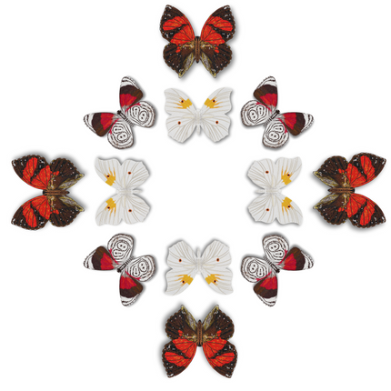 Butterfly Mandala 2