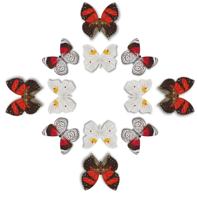 Butterfly Mandala 2