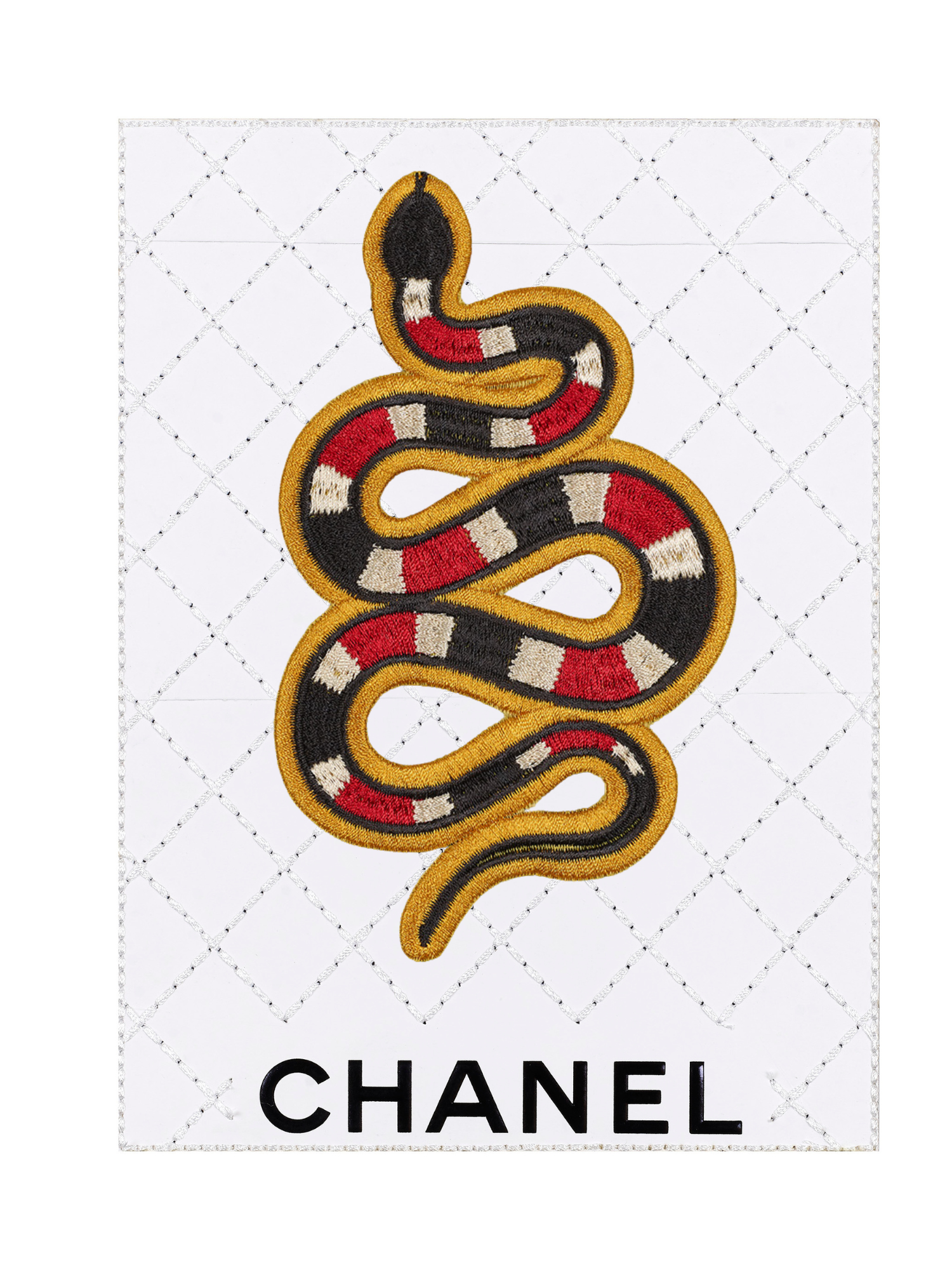 Snake 6"x8"