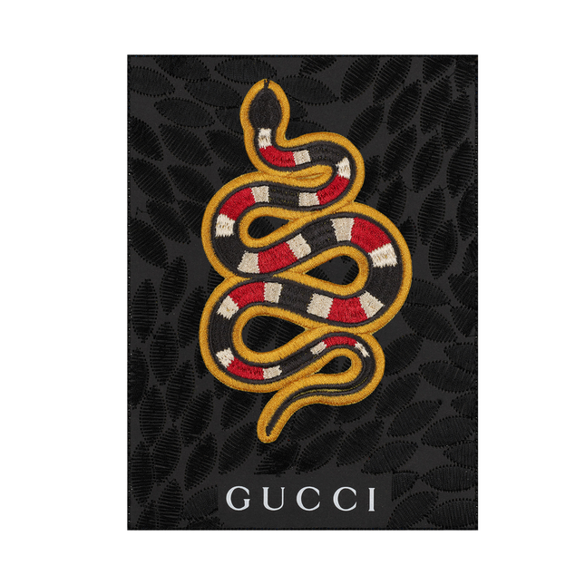 Snake 6"x8"