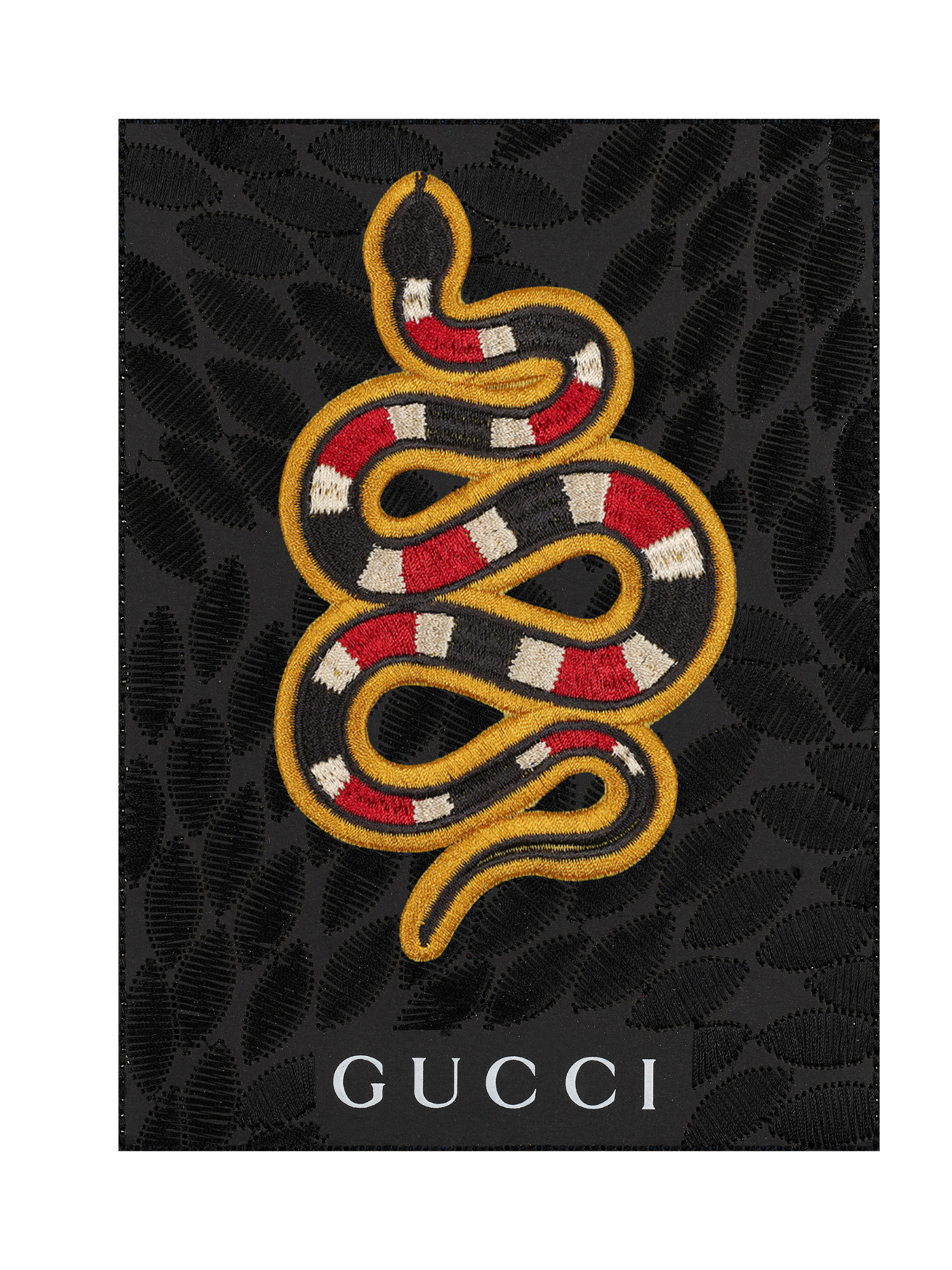Snake 6"x8"