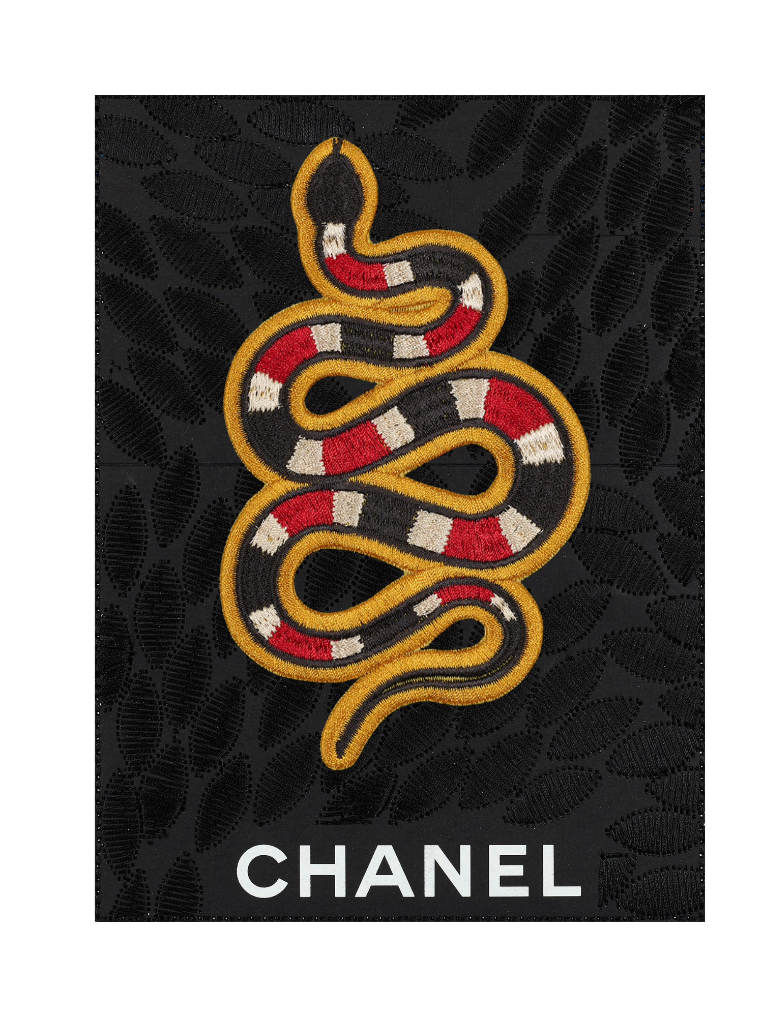 Snake 6"x8"