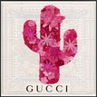 Gucci White / Pink