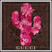 Gucci Brown / Pink