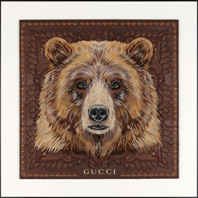 Grizzly Bear 26"x26"