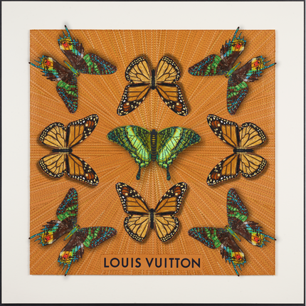 Luxury Butterfly Mandala 6- 26”X26”