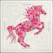 Gucci White / Pink