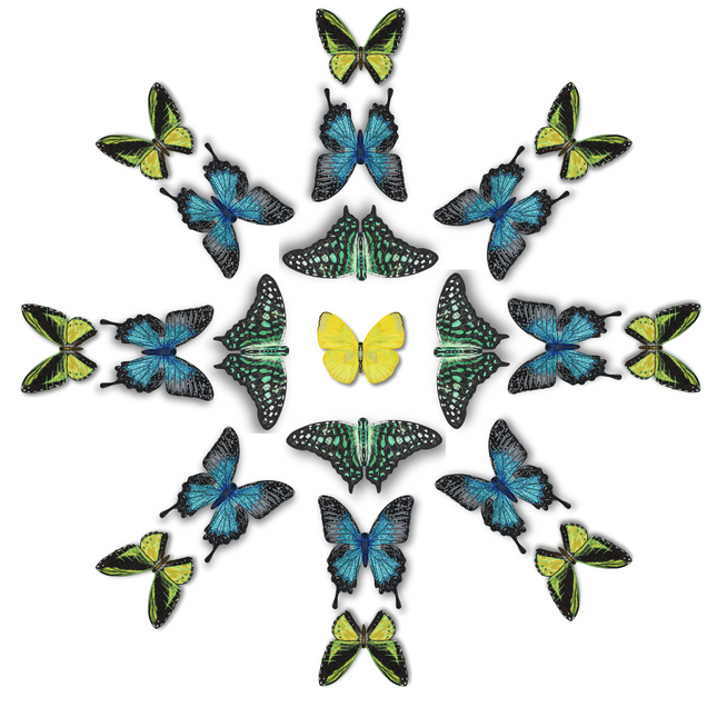 Butterfly Mandala 4