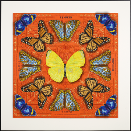 Luxury Butterfly Mandala 7- 26”X26”