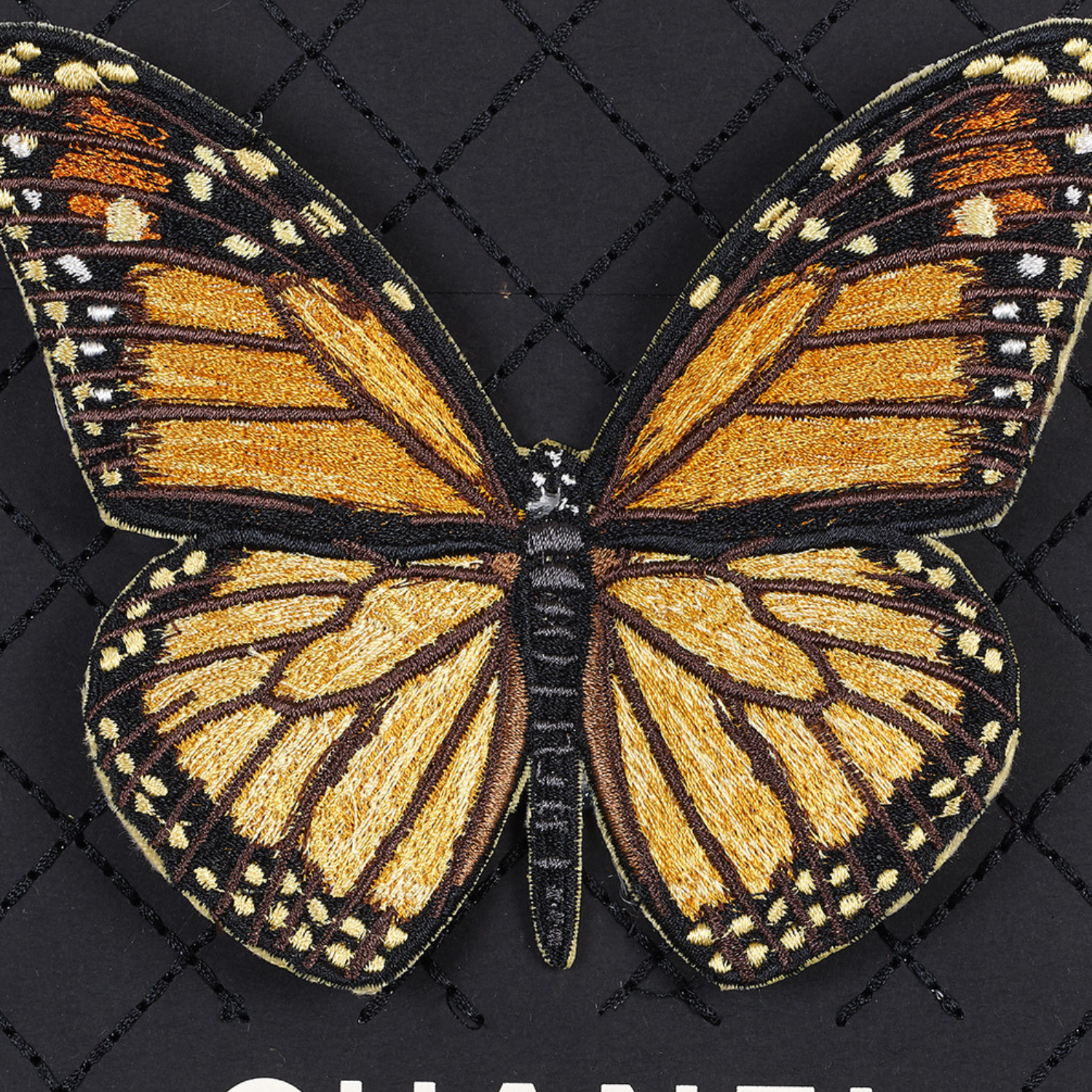 Framed Monarch Butterfly 8”x6”