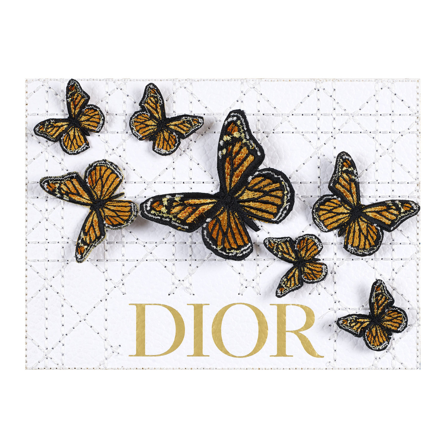 Butterfly Swarm 8”x6”