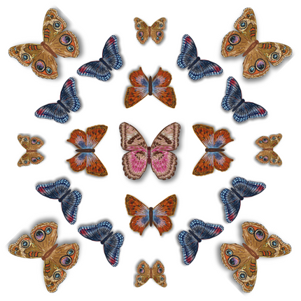 Butterfly Mandala 5