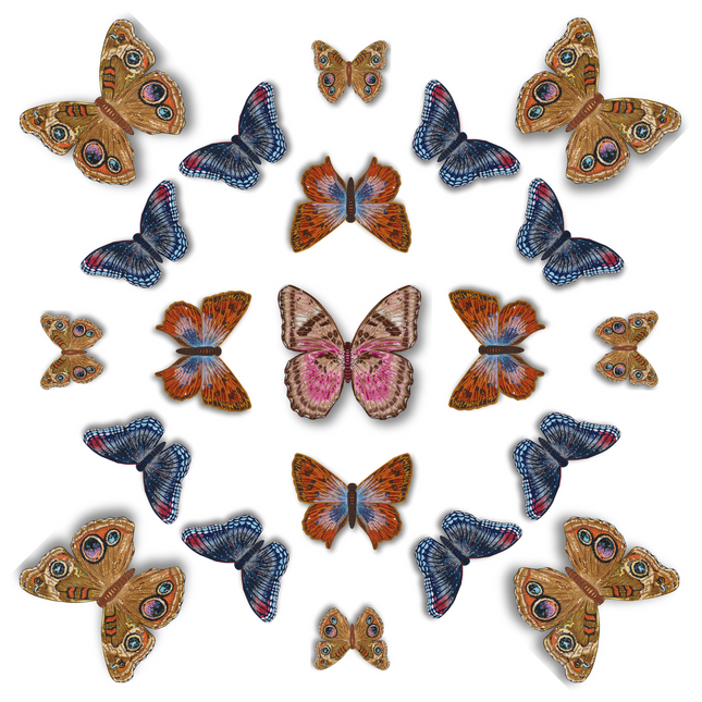 Butterfly Mandala 5