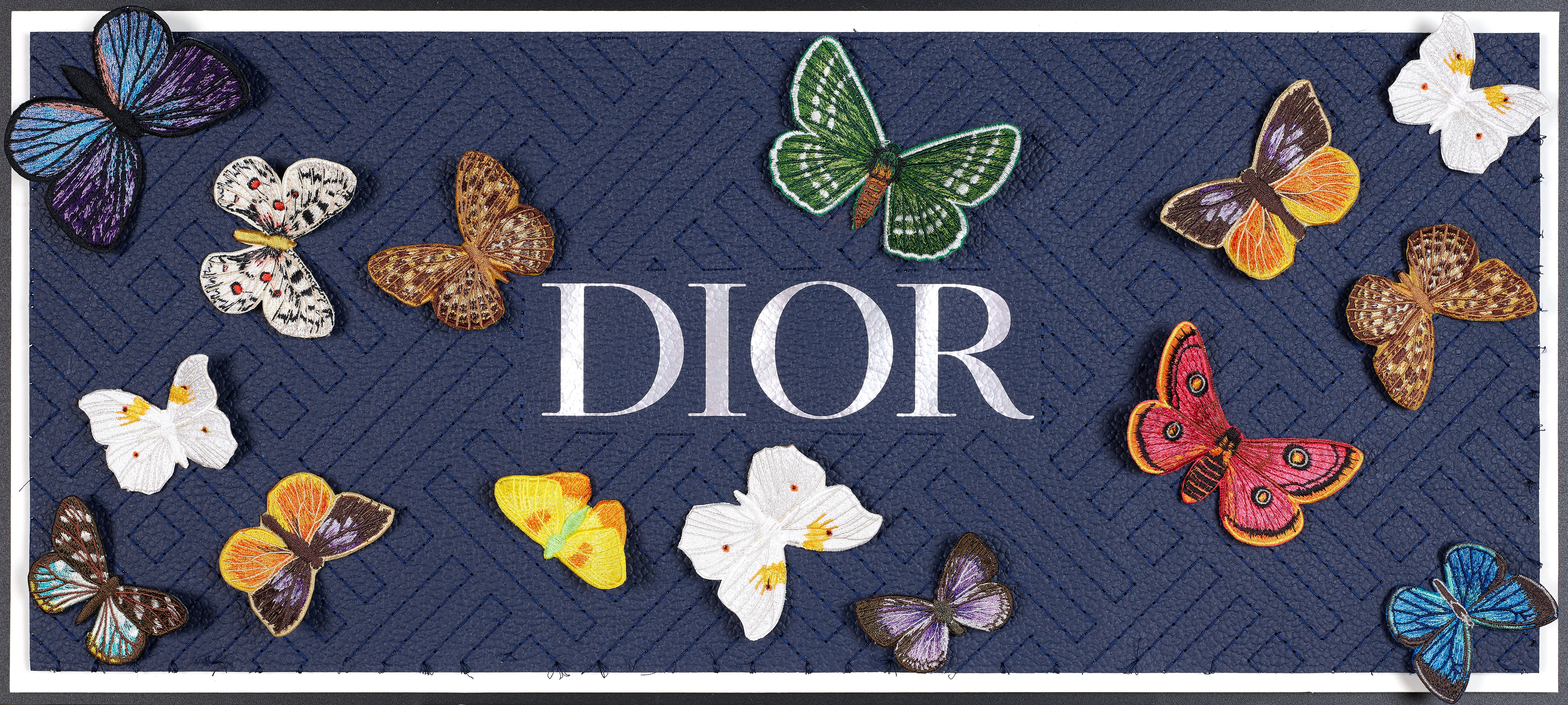 Butterfly Swarm 26"x12"