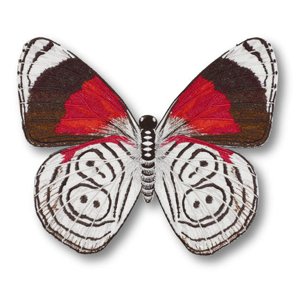 88 Butterfly 6" through 12" - Stephen Wilson Studio