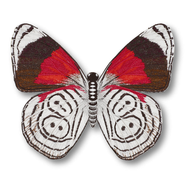 88 Butterfly 6" through 12" - Stephen Wilson Studio