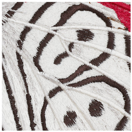 88 Butterfly 6" through 12" - Stephen Wilson Studio