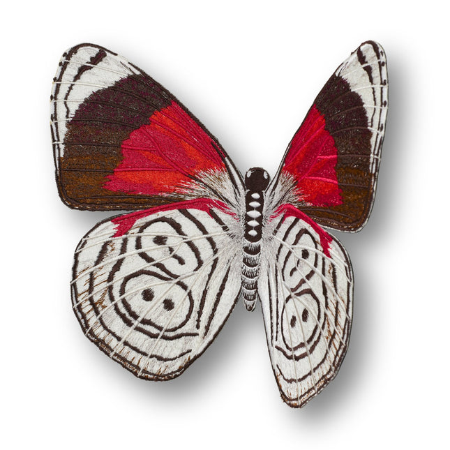 88 Butterfly 6" through 12" - Stephen Wilson Studio