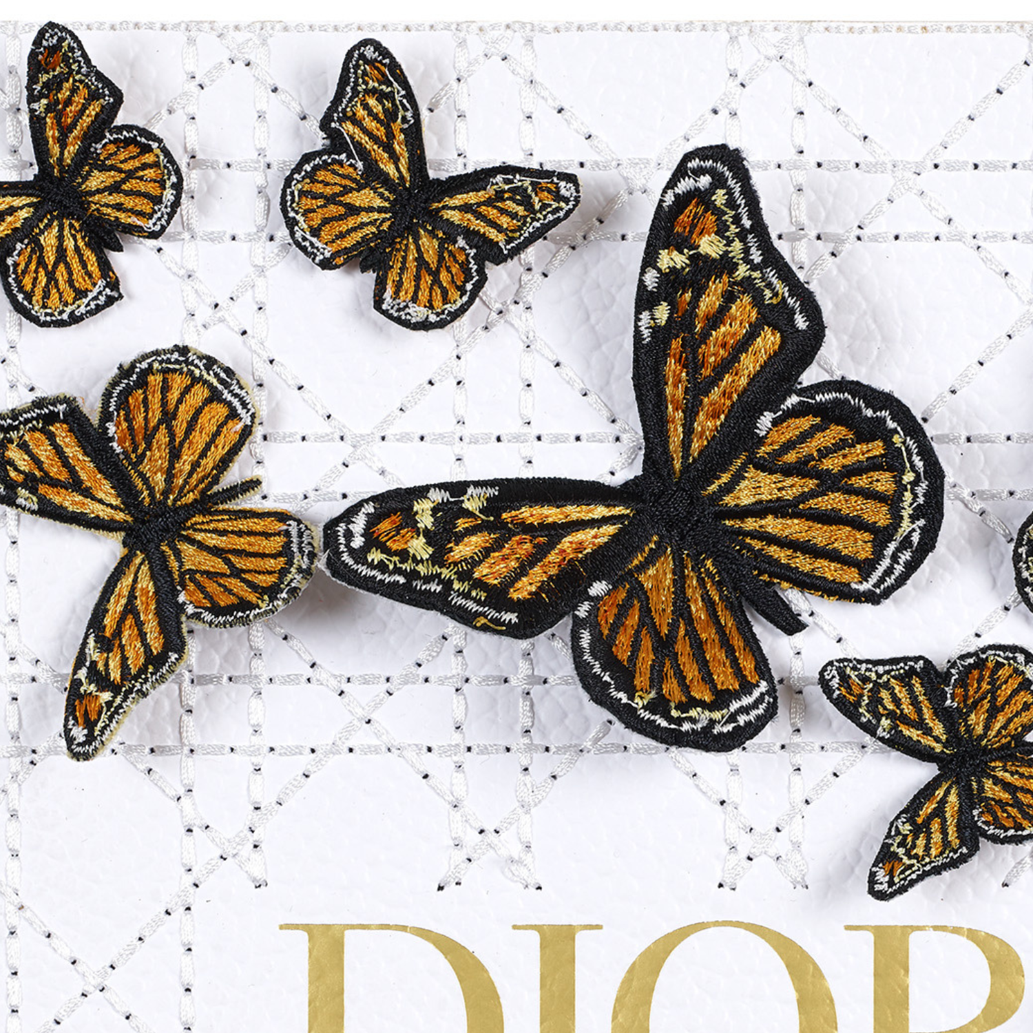 Butterfly Swarm 8”x6”