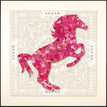 Gucci White / Pink