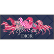 Dior Navy / Pink