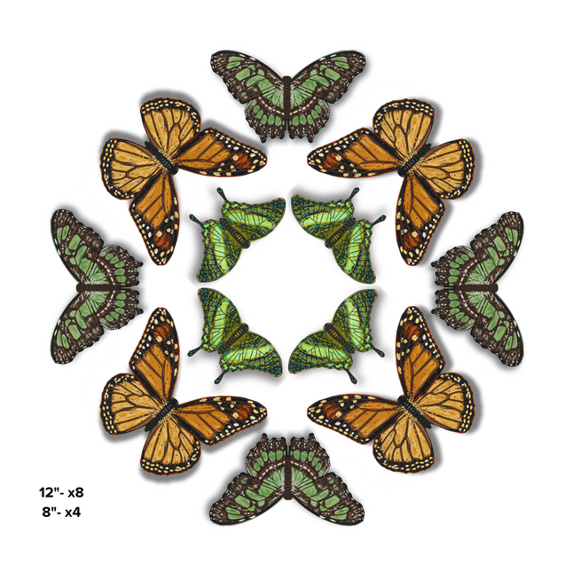 Butterfly Mandala 6
