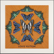 Luxury Butterfly Mandala 4- 26”X26”