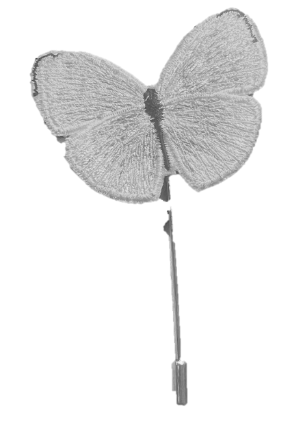Butterfly Pin