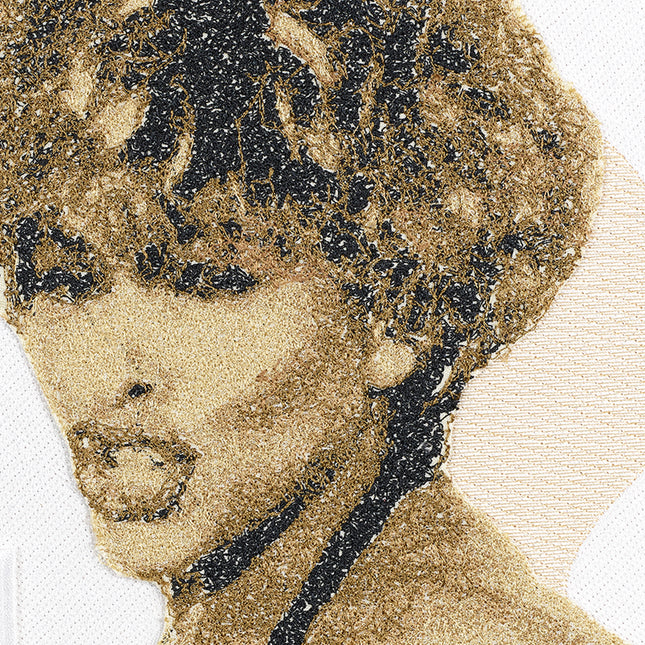Tina Turner,  Simply the Best
