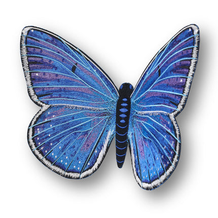 Adonis Blue Butterfly 6" through 12" - Stephen Wilson Studio