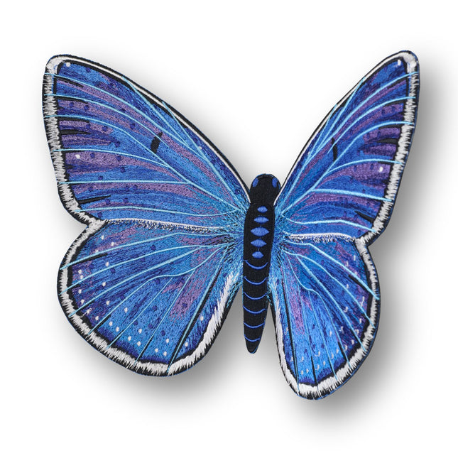 Adonis Blue Butterfly 6" through 12" - Stephen Wilson Studio