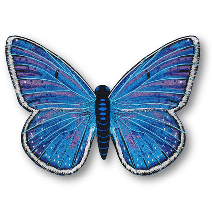 Adonis Blue Butterfly 6" through 12" - Stephen Wilson Studio