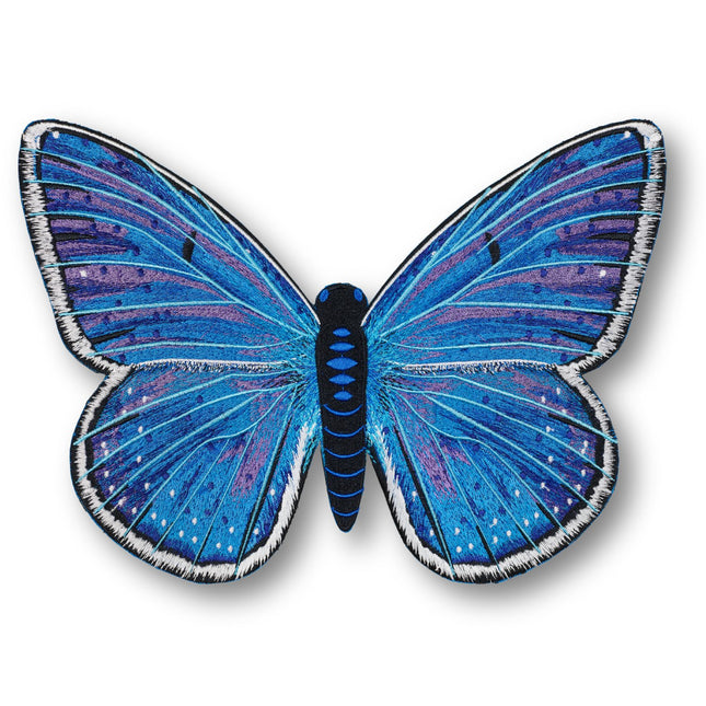 Adonis Blue Butterfly 6" through 12" - Stephen Wilson Studio