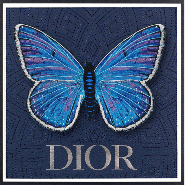 Adonis Blue Butterfly Framed - Stephen Wilson Studio